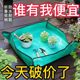 Household gardening supplies land pads, fleshy green planting balcony flip pots, soil pads mixing soil planting tool waterproof cushion
