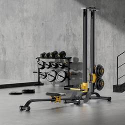 High Pull-Up Frame Fitness Equipment, High Pull-Up Dumbbell Multi-Functional All-In-One Comprehensive Trainer, Pull-Back Machine, Rowing Machine
