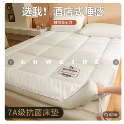 Class a Antibacterial Star Hotel Feather Velvet Mattress Pad for Student Dormitory Bunk Beds, Thickened and Warm Mattress Pad