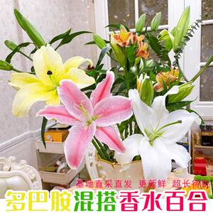 Perfume lilies flowers Yunnan base direct delivery to Kunming fresh cut flower bouquets for home hydroponic flower arrangement express delivery within the city