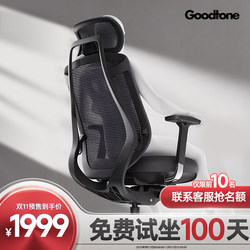Gt Guteng Birch Elite Edition Ergonomic Chair with Headrest, Footrest, Lumbar Support, Breathable Computer Chair for Long Sitting