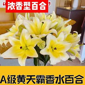 
Lily flower bouquet Yunnan base straight hair carnation small daisy perfume household wintersweet city multi-headed rose