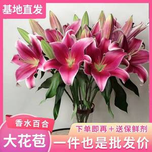 
Multi-head perfume lily flowers Yunnan straight hair fresh-cut flowers water-cultured hydroponic flowers flower arrangement express delivery to weddings in the city