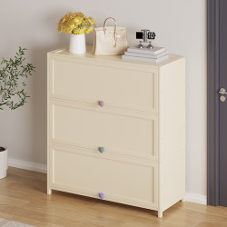 Simple Shoe Cabinet for Home Entrance, Indoor, Good-Looking, Multi-Layer Shoe Rack, Entryway Shoe Storage Cabinet, Dust-Proof, with Door, Small Shoe Cabinet