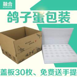 Pigeon Egg Box 10-30 Pieces Shock-Proof and Drop-Proof Packaging Box Pearl Cotton White Pigeon Egg Tray Foam Express Packaging Box