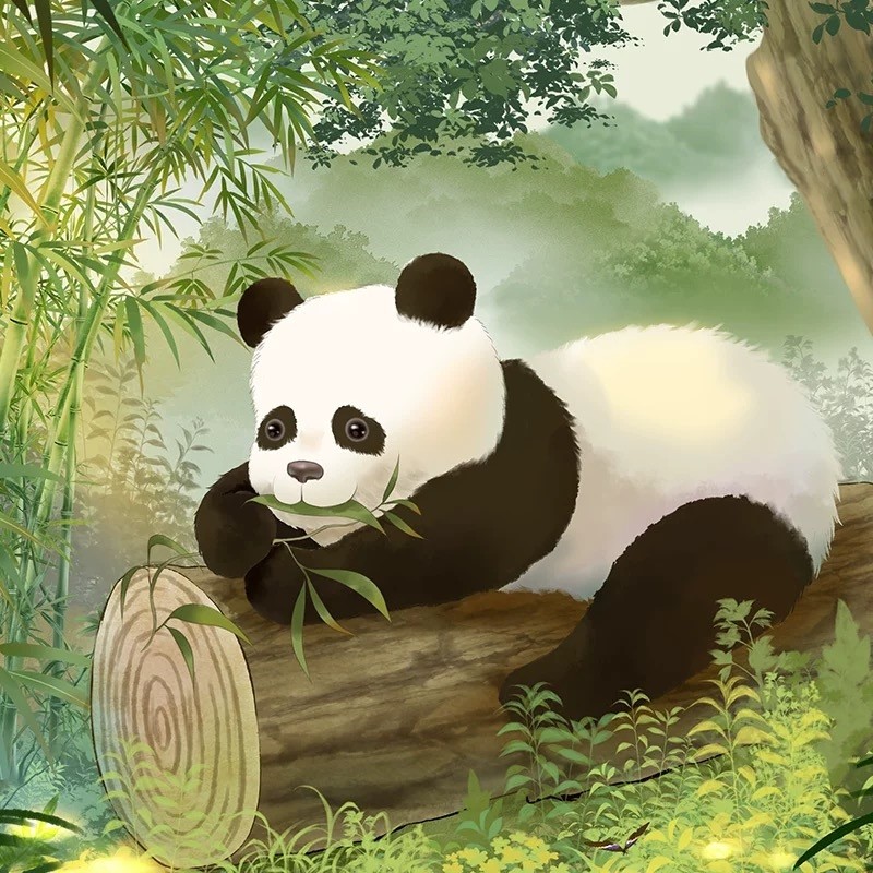 四川成都大熊猫基地都江堰一日游0购物纯玩8人团大团拍照打卡熊猫