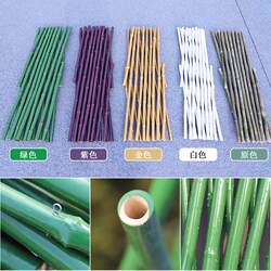 Telescopic Bamboo Fence, Bamboo Trellis, Shared Vegetable Garden Fence, Outdoor Courtyard Garden Trellis, Wall Guardrail, Climbing Plant Support