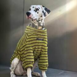 Labrador Golden Retriever Autumn and Winter Dog Clothes for Medium and Large Dogs New Pet Dog Warm Fleece Sweatshirt Border Collie