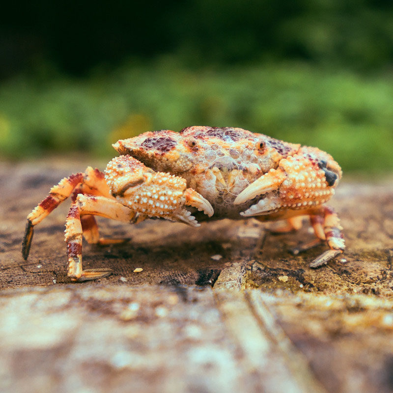 浙江高铁出发上海7天6晚迪士尼苏州乌镇自由行