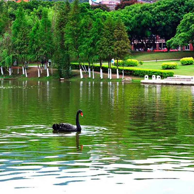 珠海东莞2日自由行可选择酒店搭配美食泡温泉电影票