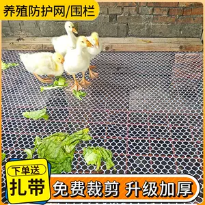 加粗鸡鸭- Top 1000件加粗鸡鸭- 2024年1月更新- Taobao
