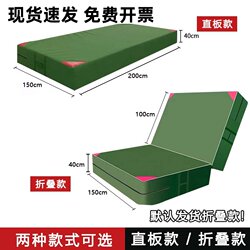 Martial Arts Thickened Protective Mat for High Jump in Kindergarten and Middle School, Foldable Sports Training Anti-Fall Somersault Mat for Taekwondo