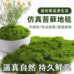 Simulated Moss Turf Bonsai Potted Plant Landscaping Flower Pot Surface Grass Micro Landscape DIY Filamentous Moss Garden Decoration