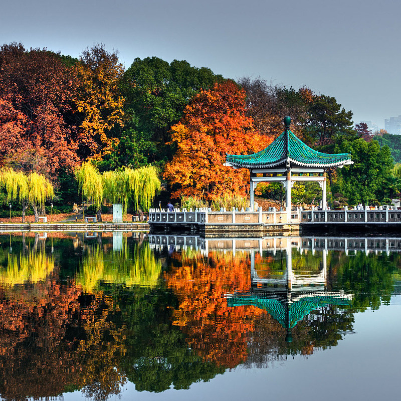 湖北武汉一日游黄鹤楼省博武大东湖真人讲解纯玩精品日游