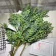 cây giả trang trí 5 nĩa màu tím Qiye hoa nhân tạo trang trí khách sạn hoa giả nhà sàn hoa lớn Hoa Trung Quốc mô phỏng nghệ thuật cây xanh cây cảnh giả trang trí phòng khách hoa mộc lan giả Cây hoa trang trí