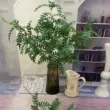 cây giả trang trí 5 nĩa màu tím Qiye hoa nhân tạo trang trí khách sạn hoa giả nhà sàn hoa lớn Hoa Trung Quốc mô phỏng nghệ thuật cây xanh cây cảnh giả trang trí phòng khách hoa mộc lan giả Cây hoa trang trí