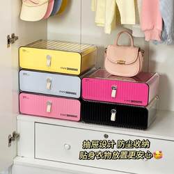 Dopamine Underwear Storage Box for Home Use, Drawer-Style Compartment for Organizing Intimate Clothing and Socks