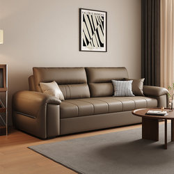 Foldable and Retractable Sofa Bed for Living Room, Dual-Purpose, Multifunctional, Two-In-One, Space-Saving, Retractable Bed for Small Apartments