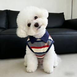 Pet Dog Clothes Spring and Summer New Style Polo Shirt Vest Thin Breathable Schnauzer Teddy Bichon Small Puppy