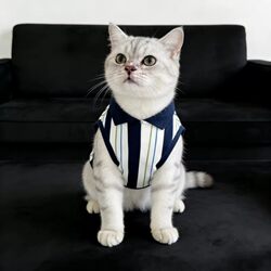 Cat Clothes Thin Vest Polo Shirt Pet Spring and Summer Style Ragdoll Gold and Silver Gradient Blue Cat Kitten Clothes