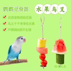 Stainless Steel Parrot Vegetable Feeder Bird Fruit Fork Fruit Hook Bird Feeding Tool Hanging Food Box
