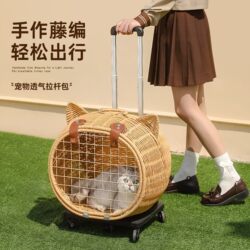 Portable Pet Travel Carrier, Space Box, Dog Transport Box, Airplane Car Dog Cage, Small and Medium-Sized Cat Carrier