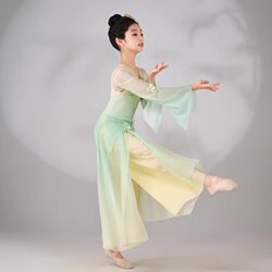 Children's Classical Dance Practice Clothes for Girls, Elegant Children's Dance Performance Costumes, Chinese Dance Training Class Uniforms, Fan Dance Gauze Clothes