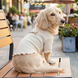 Korean Gdmn Spring and Summer New Pet Clothing for Dogs, Bichon Frise, Dachshund, Cats, and Small Dogs Knitwear