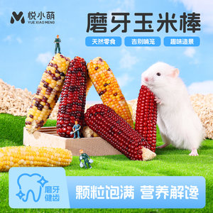 
Yue Xiaomeng hamster small corn molar stick edible golden bear special nutritious snack gift package to grow meat grain