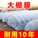 Thickened greenhouse plastic film Transparent greenhouse film Vegetable greenhouse special film White plastic cloth agricultural insulation film