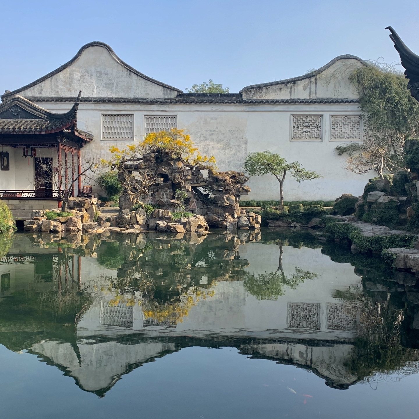 橄榄游 苏州博物馆讲解2小时专业导游深度讲解苏式风雅 小包团