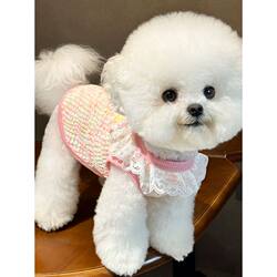 New Spring and Autumn Pet Knit Vest with Leash Attachment for Small Dogs Like Teddy, Bichon, and Cats Like Yorkshire Terrier