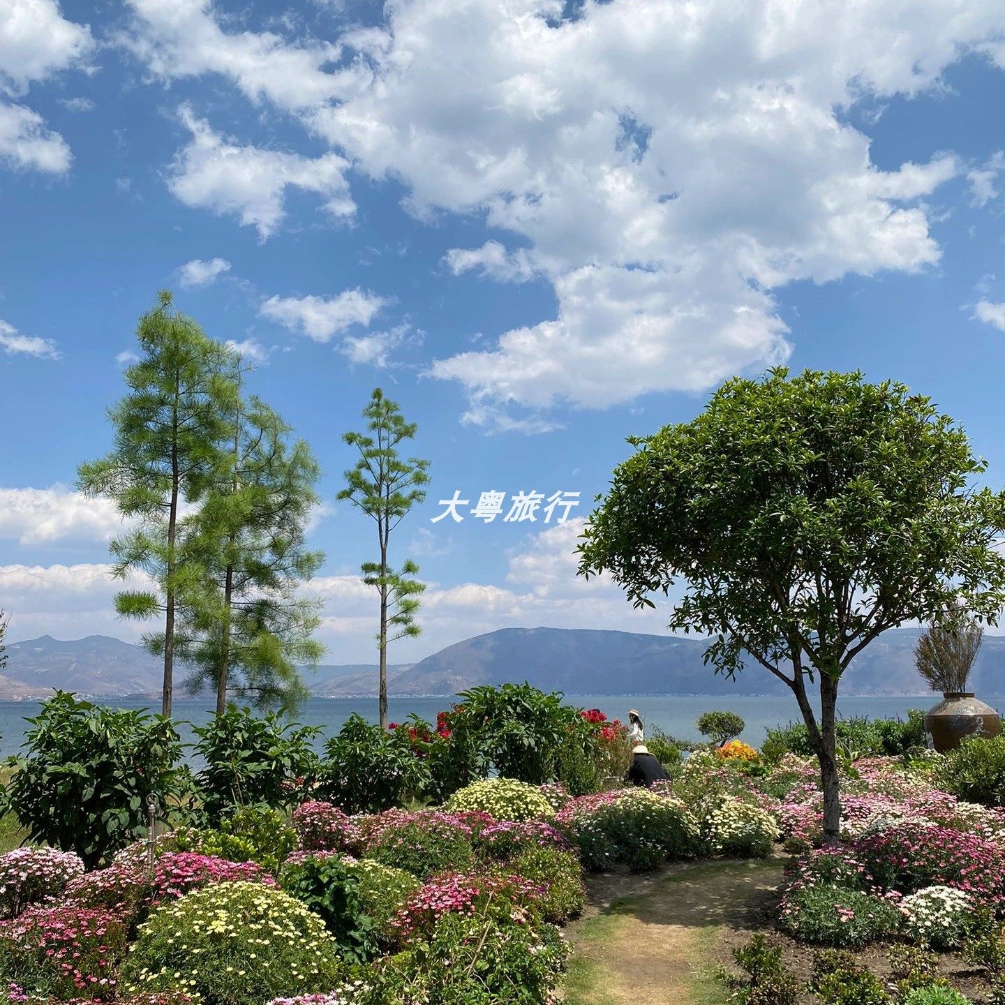 广州出发云南旅游昆明大理丽江玉龙雪山双飞6天5晚旅行跟团游网红
