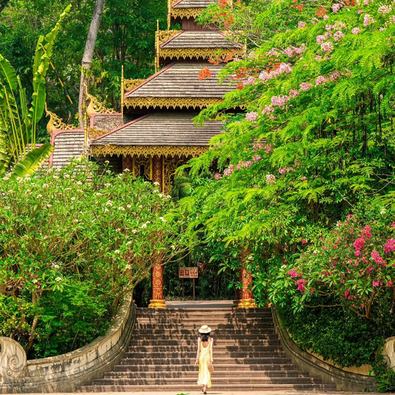 广东出发云南旅游西双版纳野象谷曼听公园般若寺5天4晚双飞跟团游
