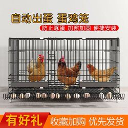 Large Automatic Chicken Coop with Feces Cleaning System for Laying Hens, Suitable for Indoor Use, Can Accommodate Chickens, Ducks, Geese, and Other Birds
