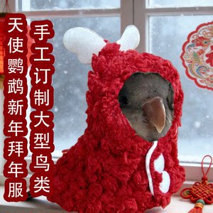 
New Year's greetings clothes, parrot cloak, bird clothes, winter warm and antifreeze handmade nightgown, pet bird supplies, festive cloak