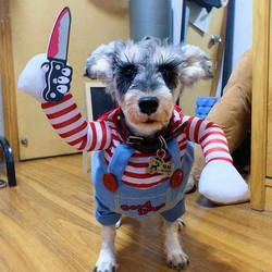 Amazon Cross-Border New Product Halloween Decoration Funny Upright Transformation Costume Pet Dog Clothes with Knife Killer Costume