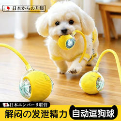 Japanese Cat Electric Toy Self-Entertaining Boredom-Relief Cat Teaser Stick Dog Smart Obstacle-Avoiding Ball Automatic Cat Teaser Ball Cat Toy