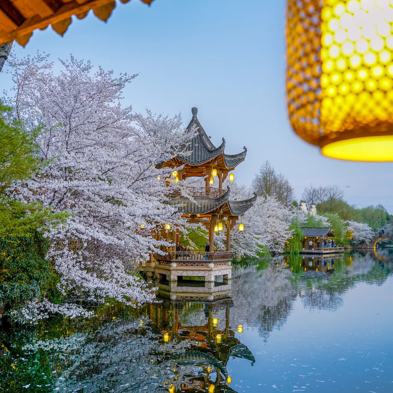 杭州旅游苏州乌镇特色客栈千岛湖南浔古镇西塘游船4天3晚跟团游