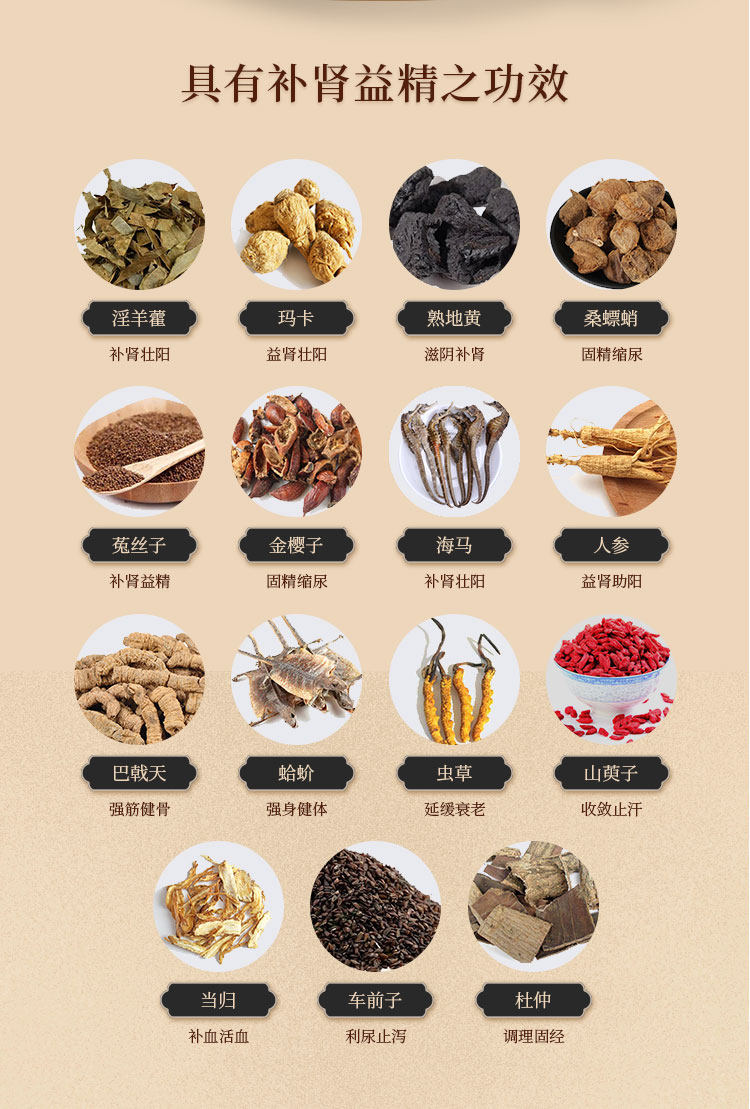 Pilules Shenbao - Soutien des reins et vitalité - Hui Xintang