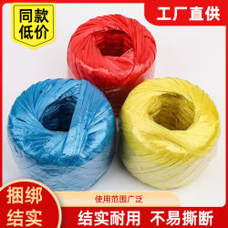 New Material Plastic Rope, Packing Rope, Colorful Packaging Rope, Nylon Binding Rope, Book Binding Strap, Grass Ball Tying Rope