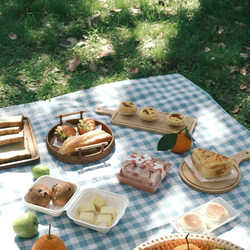 Picnic Mat, Moisture-Proof Mat, Thickened Outdoor Camping Tent Floor Mat, Beach Mat, Picnic Cloth, Seat Cushion, Portable Backrest Mat