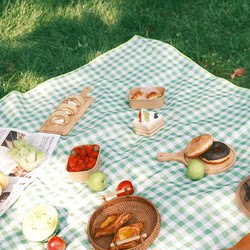 Picnic Mat, Moisture-Proof Mat, Thickened Ground Mat, Outdoor Camping Picnic Cloth, Beach Mat, Music Festival Essential, Waterproof Seat Cushion