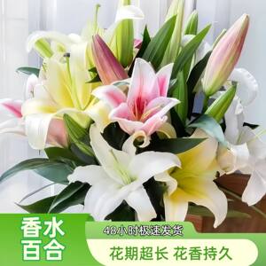 
Yunnan perfume lily water-grown flowers cut bouquet direct delivery to Kunming base in Yunnan city living room decoration gift