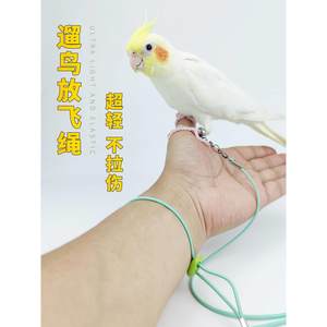Dudu Parrot Flying Rope Do not hurt the feet super light training rope tiger leather Xuanfeng Akihiyu toes foot chain walking bird flying rope