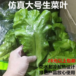 Simulated Lettuce Leaf Model Plate Decoration Fake Vegetable Restaurant Ornament Plastic Soft Washable Large Lettuce Leaves