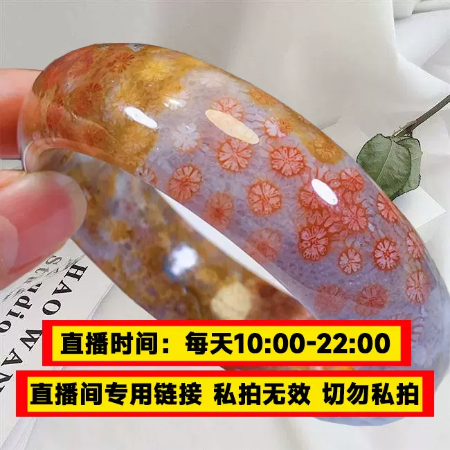 珊瑚玉199.9天然正品A货玉石宝石冰种手镯花满花菊花石玉化果冻料 