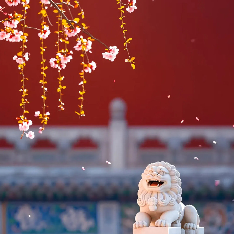 全程住希尔顿欢朋酒店&北京深度7日游+长安街上的故事一年又一年