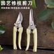 Gardening shears, pruning shears, flower shears, garden scissors, floral shears, branches, fruit tree scissors, branch shears, flower shears.