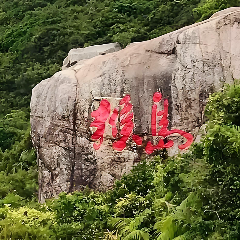 海南陵水三亚南湾猴岛+呆呆岛一日游纯玩私家团可三亚陵水出发